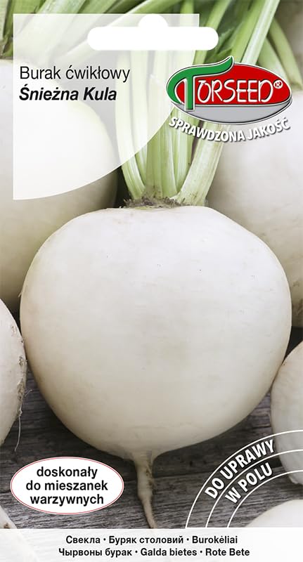 Verdica Snowball - Semillas de remolacha blanca Beta vulgaris – Variedad blanca única con alto contenido de azúcar, perfectas para conservar, ideal para plantar de abril a julio