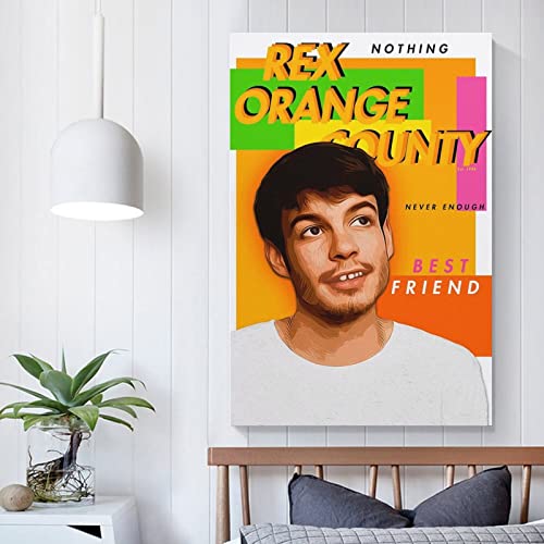 Poster Rex Orange County impression sur toile haute définition - 4