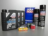 Inspección de aceite para quad y ATV