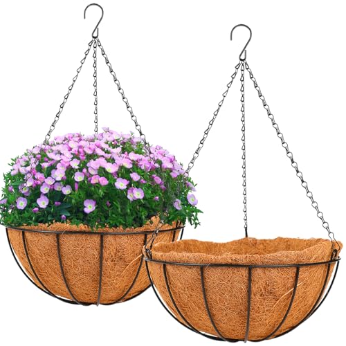 Hanging Basket Planter Plants Outdoor - 2 Pack 12 Inch Metal Hang...