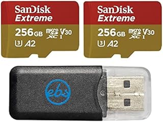 SanDisk Extreme (UHS-1 U3 / V30) A2 256GB MicroSD (2 Pack) Memory Card for GoPro Hero 9 Black Action Cam Hero9 SDXC (SDSQXA1-256G-GN6MN) Bundle with (1) Everything But Stromboli Micro SD Card Reader