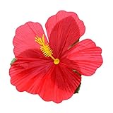 Set 24 decoración floral Hibiscus Hawaii