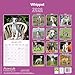 Whippet 2026 Calendar | Square Wall Calendar | Dog Breed Gift | Plastic Free Packaging | by Avonside Publishing