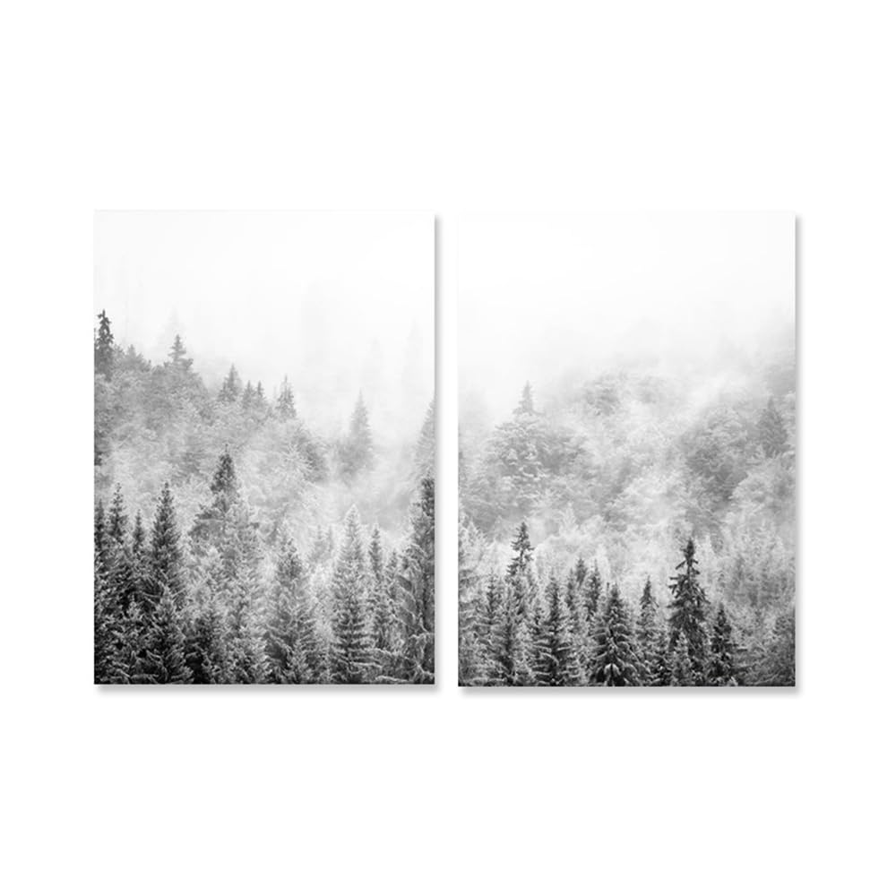 Wuhbcz Multicolored Art Decor,Abstract Poster Snow Forest Wall Art Landscape Canvas Painting Black And White Posters And Prints Bedroom Kitchen Office Home Decoration-40 * 50Cm*2Pcs (No Frame)