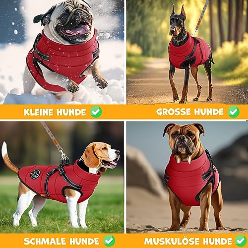 LOVPET® Hundejacke Hundemantel mit Geschirr, inkl. 45 Stück Kotbeutel + Spender, Hunde Winterweste gefüttert wasserdicht, Gepolsterte Weste Mit Brustgurt, Reflektoren, D-Ring L, Bordeaux Rot