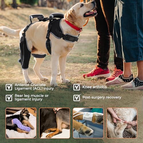Image of Dog ACL Knee Brace for Torn ACL & Luxating Patella-Adjustable Leg Support with Sufficient Wrapping and Support, Non-Slip Joint Brace for Dogs, Pain Relief & Better Recovery-Left Leg-L