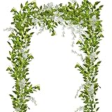 flores enredaderas que florecen todo el año ALAMBRE PARA COLOCARLAS: Nuestras enredaderas se pueden doblar en muchas formas diferentes. También se puede envolver en postes y arcadas. Coloque sus enredaderas exactamente como las desea y arregle las flores. Puede usar las enredaderas juntas o separadas.