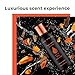 Milton-Lloyd Perfumer's Choice No 10 Mojo - Cologne for Men - Woody Oriental Fragrances - Mens Cologne - Long Lasting Perfume for Men - 1.7 oz