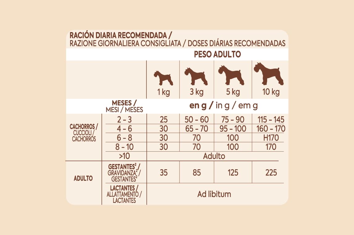 Ultima Nourriture pour Petits Chiens Mini Junior au Poulet, Lot de 8 x 800 g, Total : 6,4 kg