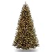 National Tree 9 Foot North Valley Spruce Tree with 700 Clear Lights, Hinged (NRV7-300-90)