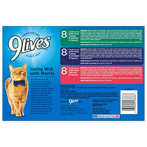 9 lives 24 pack
