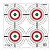 Birchwood Casey 12" Eze-Scorer Multiple Bull