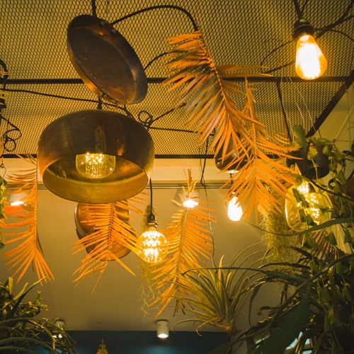 Jimosoon Plug in Pendant Light Cord, Hanging Lantern Extension Cord with Bulb Socket E26 E27 with On/Off Switch, Socket Rings, UL Approval, 16Ft, Black, 4 Pack by Jimosoon - Image 7