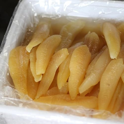 ̎q Y Y 500gmLFnAJEJi_Y V p ①ցy̎q500gz