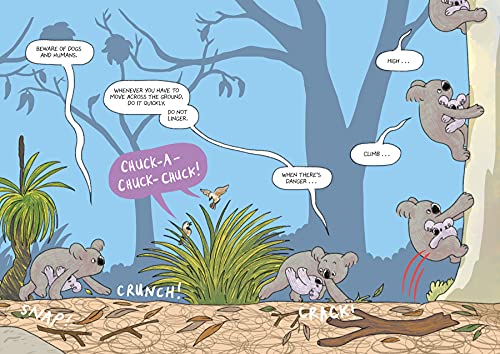 Surviving the Wild: Rainbow the Koala: 2
