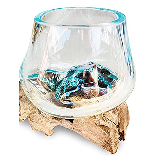 Beautiful 11cm dia glass vase bowl intricately blown onto a teak root - ideal for flowers or an indoor terrarium - each one unique - Image 4