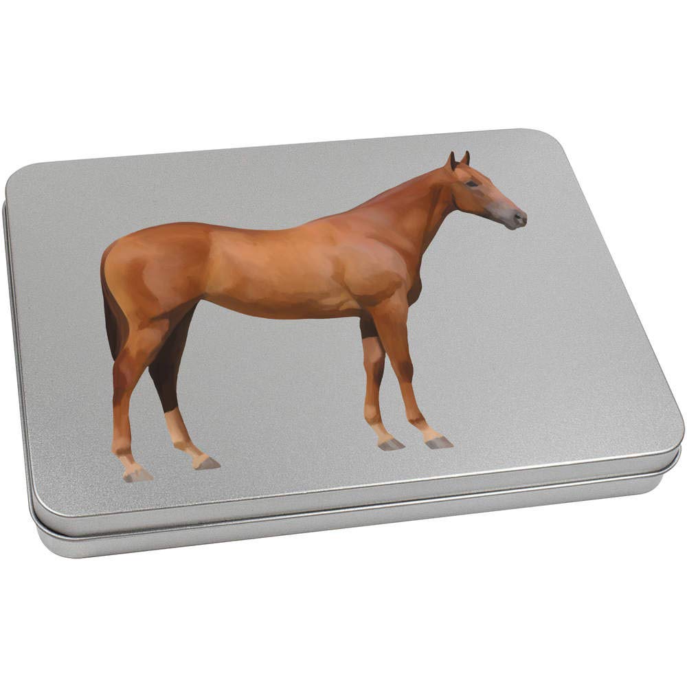 Azeeda 220mm 'Horse' Metal Hinged Tin/Storage Box (TT00103495)