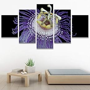 SIGNWIN 5 Panel Canvas Wall Art Flora Snapshot...
