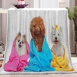 UTILISATION POLYVALENTE: Notre couverture est idéale pour les soirées douillettes de télévision et de lecture sur le lit ou le canapé, comme couvre-lit dans la chambre ou le salon, chaude et confortable. Vous pouvez l'utiliser pendant les voyages pour vous protéger du froid. En raison de sa meilleure résistance aux taches, il peut également être utilisé comme jeté de canapé ou de lit pour résister aux taches et garder votre maison propre et rangée à tout moment.