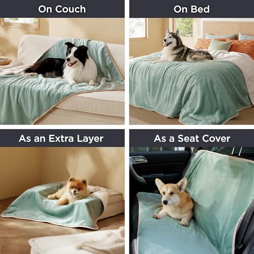 Image of Bedsure Waterproof Dog Blankets for Medium Dogs - Medium Cat Blanket Washable for Couch Protection, Sherpa Fleece Puppy Blanket, Soft Plush Reversible Throw Furniture Protector, 30 inchX40 inch, Light Green