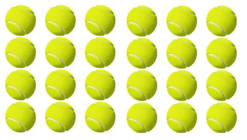 ARINEO Cricket Tennis Ball Green Color (Pack of 24) (B09ZQJPH8N) Amazon Price History, Amazon Price Tracker
