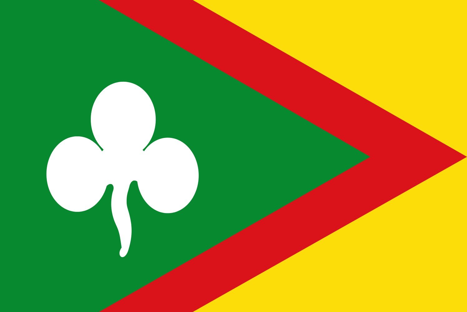 Drapeau Large Nieuweschoot vlag de qualité supérieure Dorpsvlaggen Friesland