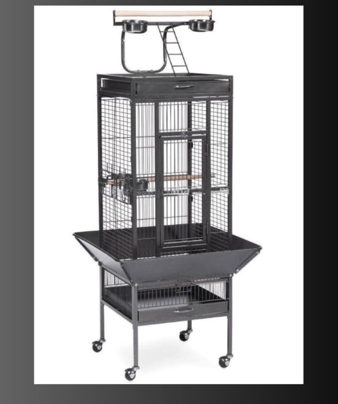 CENTRAL FISH AQUARIUM Birds Cage Foldable Metal Bird Cage For Macaw,Cocktail, Conures,Amazon,Cuckatoo With Stand,Wheel,Play Top, Tray -L:67Cm X B:67Cm X H-156 Cms/Bar Spacing 17Mm( Colors May Vary ) (B09S6KS74X) Amazon Price History, Amazon Price Tracker
