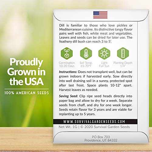 Survival Garden Seeds - Dill Seed For Planting - Packet With Instructions To Plant And Grow Popular Pickling Herbs In Your Home Vegetable And Herb Garden - Non-Gmo Heirloom Variety - 1 Pack #TOP1