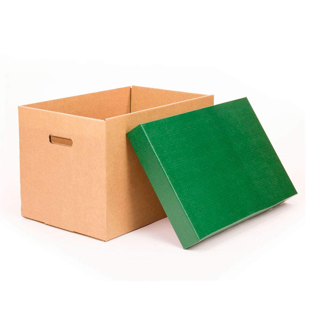 ONLY BOXES, Aufbewahrungsboxen mit grünem Deckel, Umzugskartons und Aufbewahrungsboxen aus Karton mit Griffen, sehr stabiler Karton, 53,2 x 33,1 x 32,5 cm (L x B x H) in cm, 2 Stück