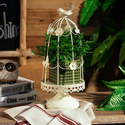 Sziqiqi Decorative Bird Cage Candleholder For Antique Decor, Fit For Flowers Planter Candles Garland Cupcake Display For Wedding Centerpiece Holiday Decoration, Distressed Ivory 38Cm/15 Inch #TOP2
