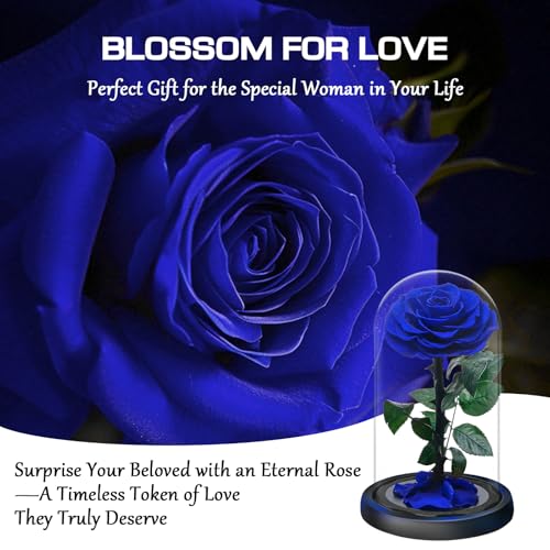 Miniatura 5 de Rosa Eterna En Cúpula De Cristal, Rosa Bella Y Bestia, Flores Naturale Preservada, Ideas Rosas Regalos Para Día De La Madre, Día De San Valentín, Aniversario,Navidad, Mujer, Mamá, Novia, Abuela