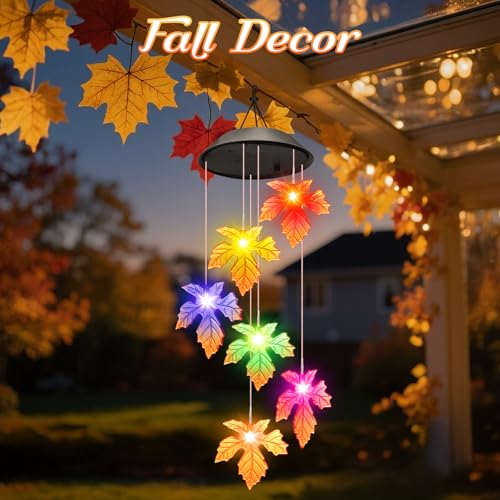 image for Fall Decor Thanksgiving Decorations Birthday Gifts for Women, Winzwon 