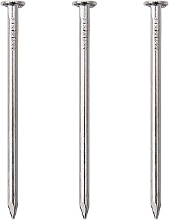 120pcs Hardware Nails, 2 Inches Nickel Plated Hanging Nails, Wall Nails for Hanging, Wood Nails, Long Nails (2 in)