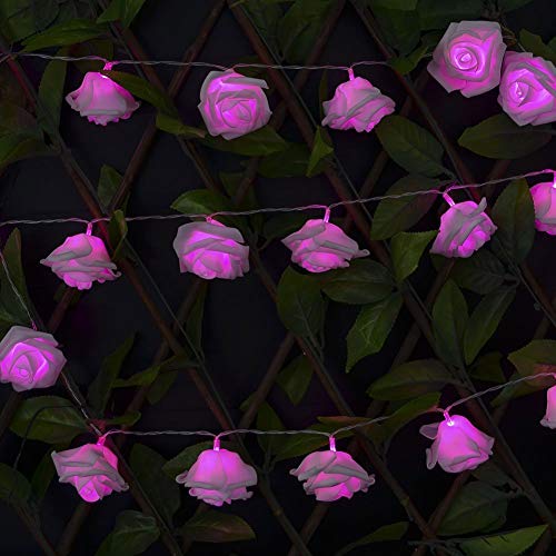 Image of KharidoLive 40 LED Pink Rose String Lights Home Decoration (6 Meter Long, 2 Pin Plug, LED Color Pink - Steady)
