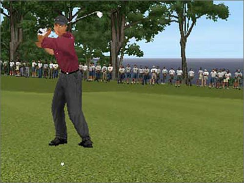 Image of Tiger Woods PGA Tour 2003 - Mac