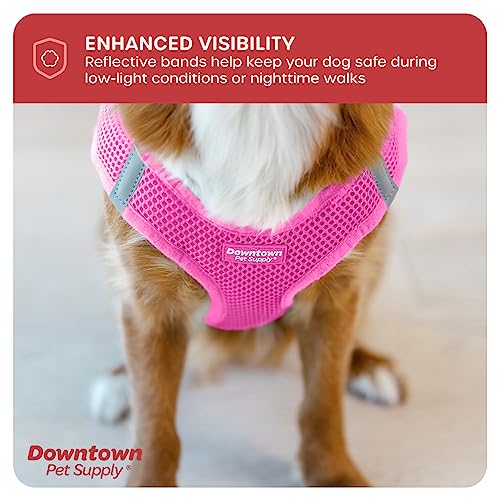 Downtown Pet Supply Step In Dog Harness For Small Dogs No Pull, Small, Pink - Adjustable Harness With Padded Mesh Fabric And Reflective Trim - Buckle Strap Harness For Dogs #TOP6