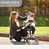 evolur Cruise Rider Stroller with Canopy, Lightweight Umbrella Stroller with Compact Fold, Easy to Carry Travel Stroller - Koala Gray