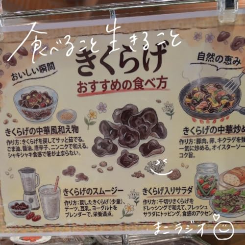 #120 きくらげ、みんなどうやって食べるのがすき？