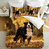 Funda Nordica Cama 135/150 Boyero de Berna Funda Edredon Microfibra Ropa de Cama Animales AdorablesFundas Nórdicas 220x240 con 2 Fundas de Almohada 50x75 con Cremallera N.176