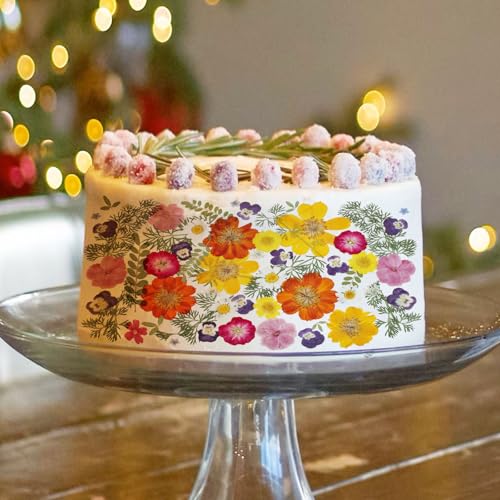 48 Pcs Mix Natural Dried Pressed Flowers for Crafts & Cake Decorating, Real Dry Flower for Cocktails, Resin Jewelry Making, DIY Art Crafts (Muticolor)