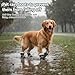 Winter Dog Boots for Small Medium Dogs, Anti-Slip Paw Protectors with with Adjustable Buckle & Drawstring Closure, Fleece Lined Snow Booties for Puppies