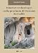 Produktbild Itinerari archeologici nella provincia di Oristano - Sorradile