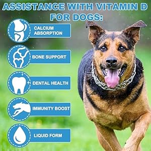 Vitamin D for Dogs, Liquid D for Dogs, Dog Vitamins D Drops Promote Calcium Absorption, Supports Hip & Joint Health and Dog Dental Health – Pet Supplements Liquid Vitamins D, Bacon Flavour – 2 Fl Oz