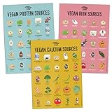 Vegan Fridge Magnet - Protein, Iron, Calcium Plant-Based Sources | Simple Happy Kitchen (Bundle of 3