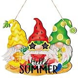 Hello Summer Wood Sign Rustic Colorful Fruits Gnome Hanging Plaque Decorative Signs and Plaques Funn