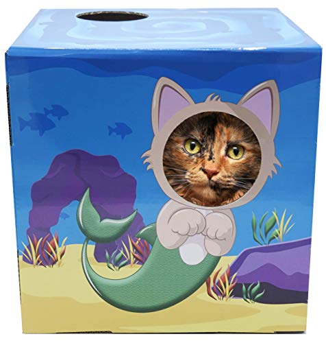 DoyenCat Fun Box with Scratching Board (Ocean)