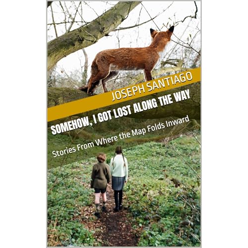 Somehow, I Got Lost Along the Way - Joseph Santiago