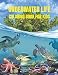 Produktbild Underwater Life Coloring Book for Kids: Beautiful Marine Animals To Color for Kids Ages 3-8 | Super Fun Coloring and Activity Book for Kids | Amazing ... and Ocean Animals | Explore Marine Life!