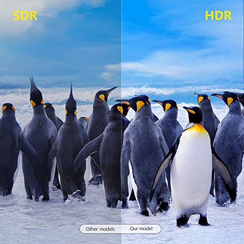 Android 10.0 TV Box, TX3 Mini RAM 2 GB ROM 16GB Quad Core Ultra 4K HDR AV1 Dual Band WiFi 2.4G/5.8G BT 4.2 Home Smart Media Player - Afbeelding 4