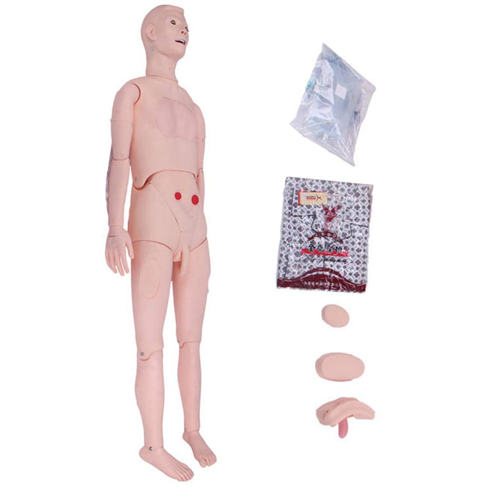 Modèle d'enseignement, modèle de Mannequin de Formation, Mannequin Complet du Corps, simulateur Grandeur Nature pour Soins Infirmiers, Formation médicale, enseignement, éducation,